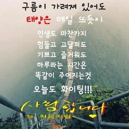 피드에 업로드 된 이미지