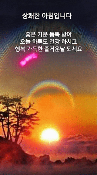 피드에 업로드 된 이미지