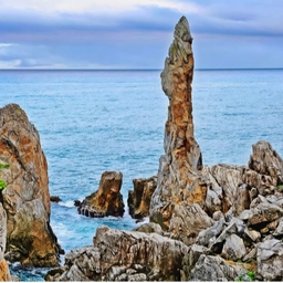 피드에 업로드 된 이미지