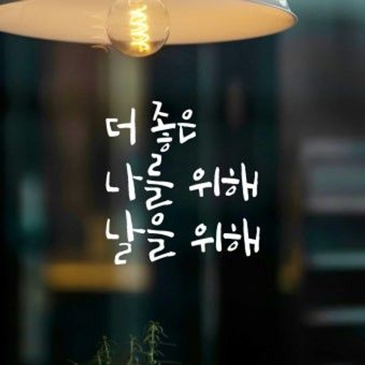 피드 이미지