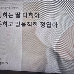 피드에 업로드 된 이미지