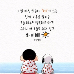 피드에 업로드 된 이미지
