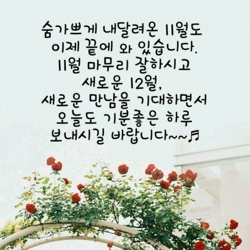 피드 이미지