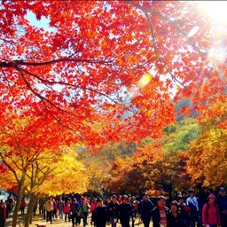 피드에 업로드 된 이미지
