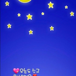 피드에 업로드 된 이미지