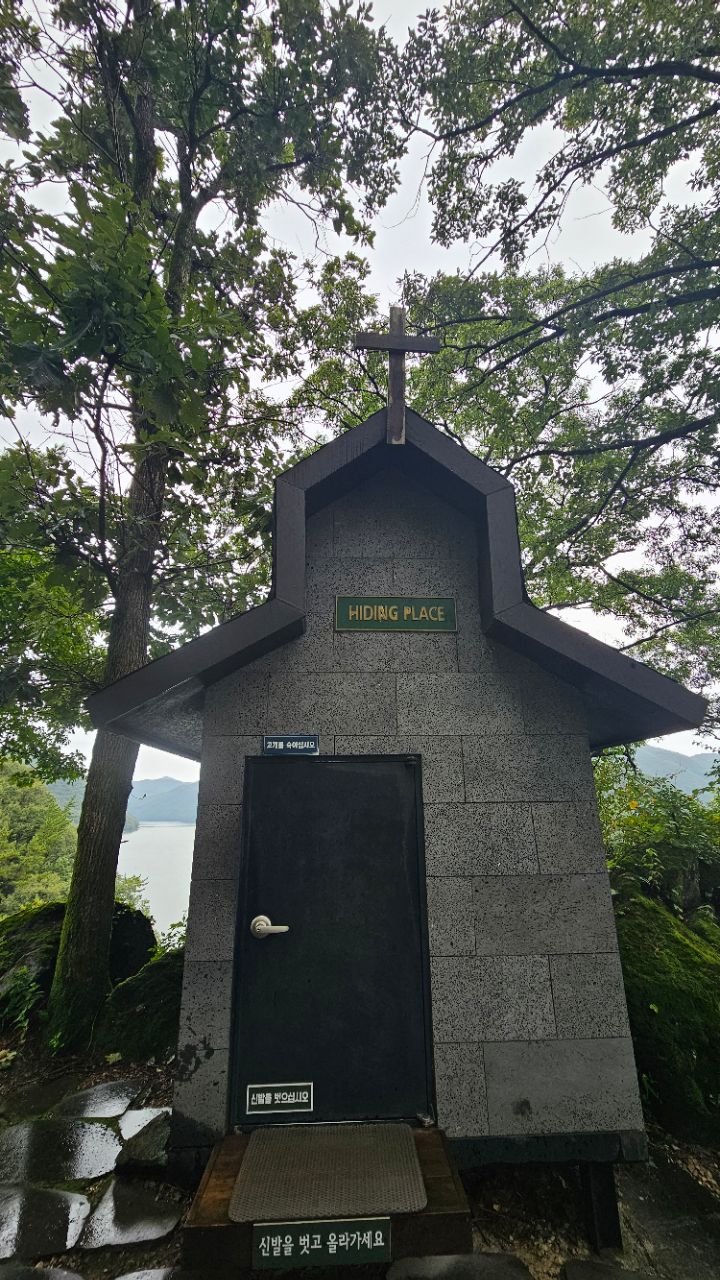 피드 이미지