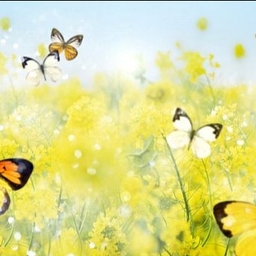 피드에 업로드 된 이미지