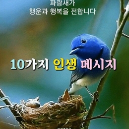 ํผ๋์ ์
๋ก๋ ๋ ์ด๋ฏธ์ง