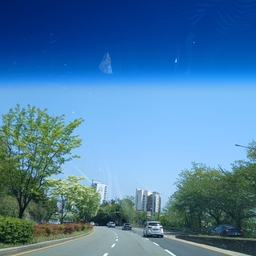 피드에 업로드 된 이미지