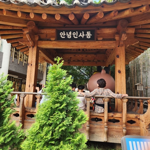 피드 이미지