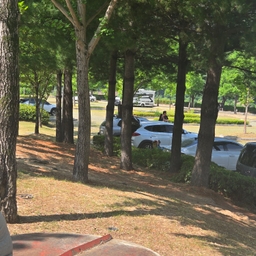 피드에 업로드 된 이미지