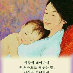 피드에 업로드 된 이미지