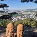 멤버 프로필
