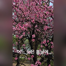 피드에 업로드 된 이미지