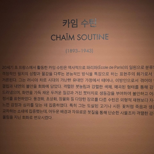 피드 이미지