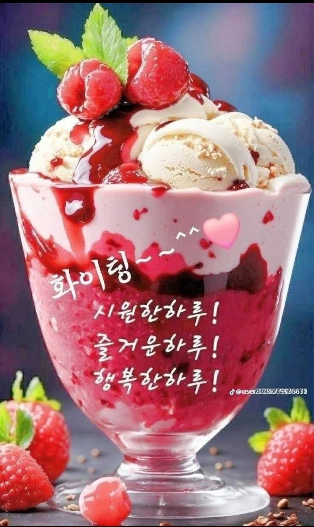 피드에 업로드 된 이미지