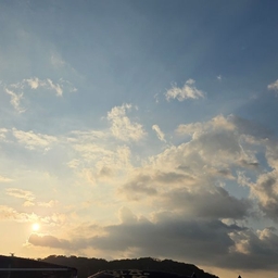 피드에 업로드 된 이미지