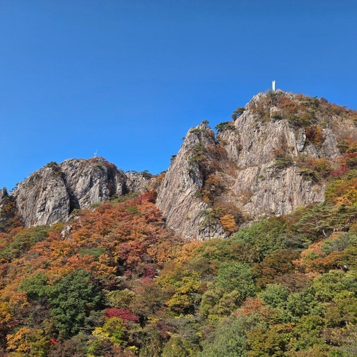 피드 이미지