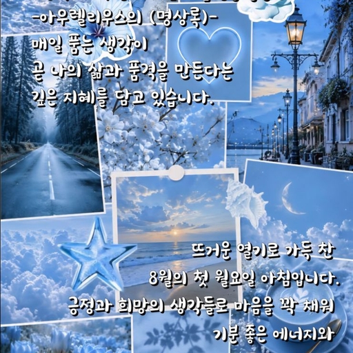 피드 이미지