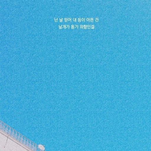 피드 이미지