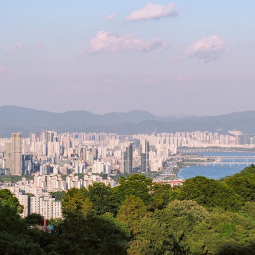 피드 이미지