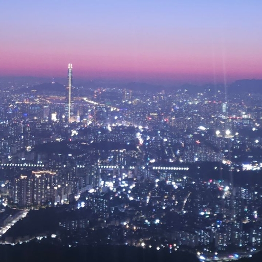 피드 이미지