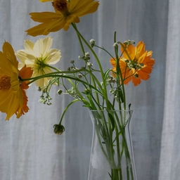 피드에 업로드 된 이미지