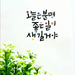 피드에 업로드 된 이미지