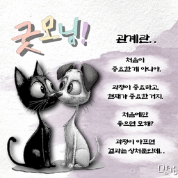 피드에 업로드 된 이미지