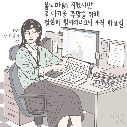 피드 이미지