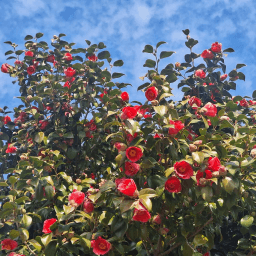 피드에 업로드 된 이미지