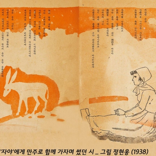 피드 이미지
