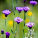 유저 프로필