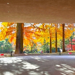 공지사항에 업로드 된 이미지