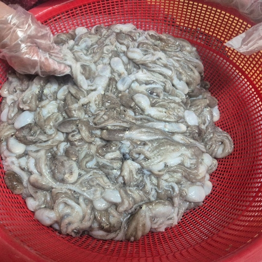 피드 이미지