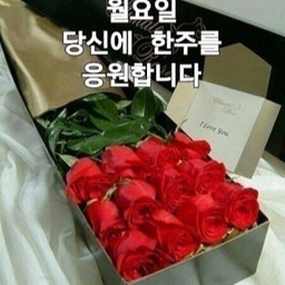 피드에 업로드 된 이미지