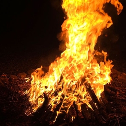 ํผ๋์ ์
๋ก๋ ๋ ์ด๋ฏธ์ง