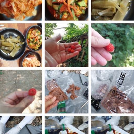 피드 이미지