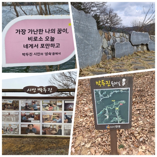 피드 이미지