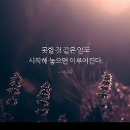 피드에 업로드 된 이미지