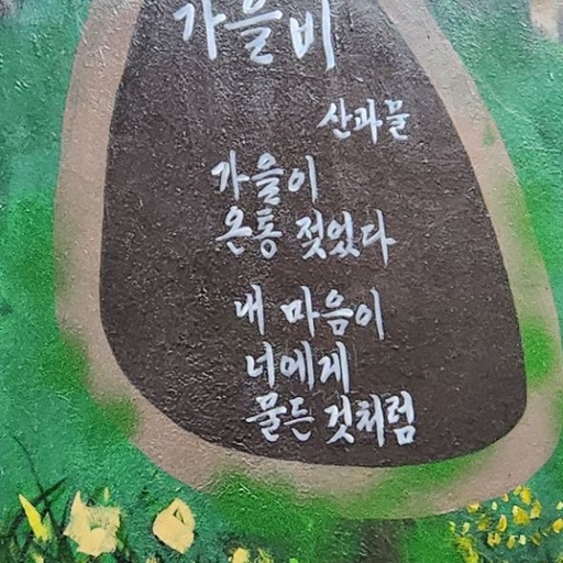 피드 이미지