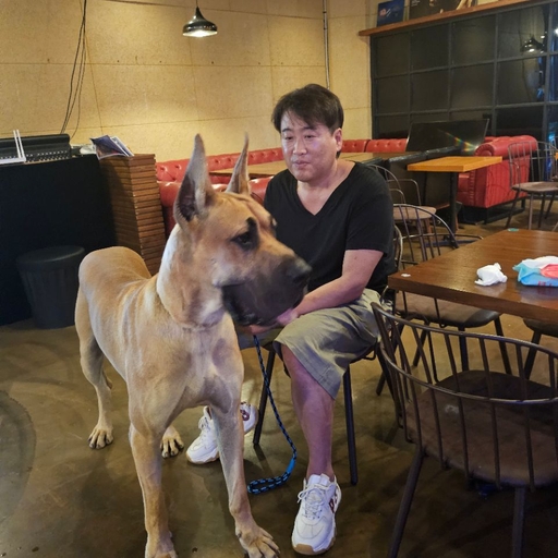 피드 이미지