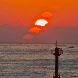 피드에 업로드 된 이미지