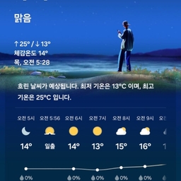 피드에 업로드 된 이미지