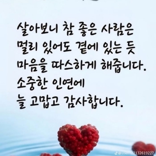 피드 이미지
