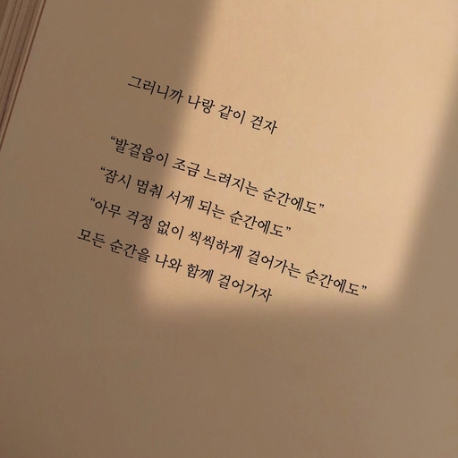 피드 이미지