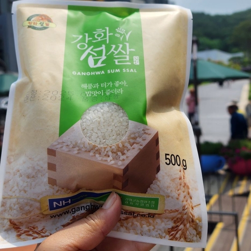 피드 이미지