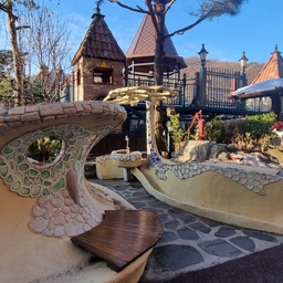 피드에 업로드 된 이미지