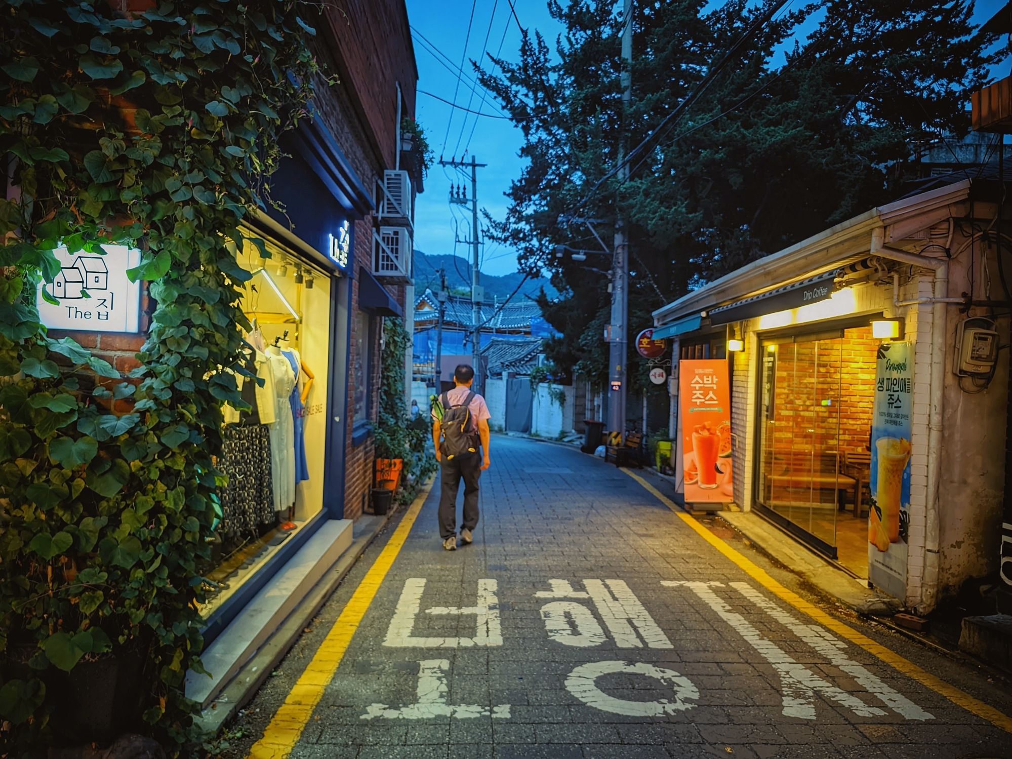 피드 이미지