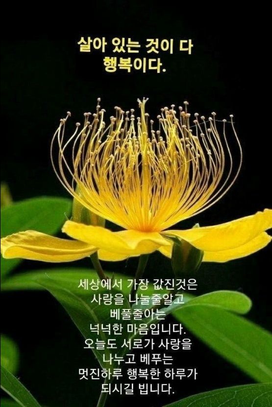 피드 이미지